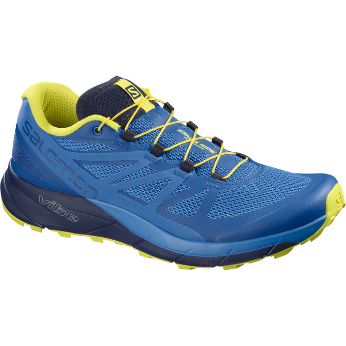 Salomon Israel SENSE RIDE - Mens Trail Running Shoes - Blue/Navy (LOEK-48905)